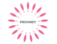 Proviney logo