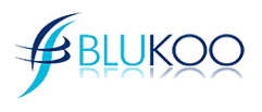 Blukoo logo