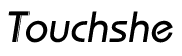 Touchshe logo