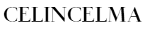 Celincelma logo