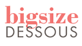 Bigsize Dessous logo