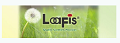 LoaFis logo