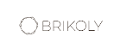 Brikoly logo